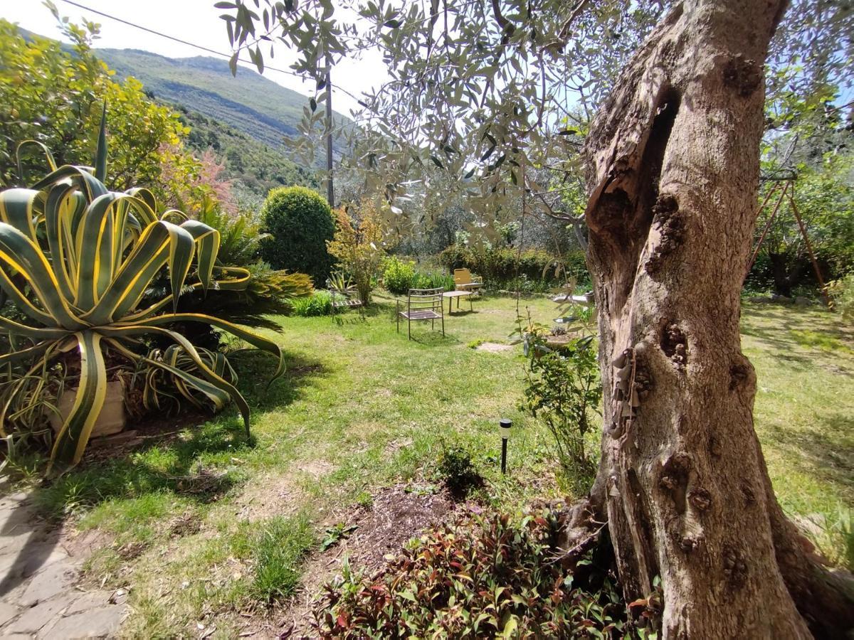 Appartement Casa Di Nin à Torbole Sul Garda Extérieur photo