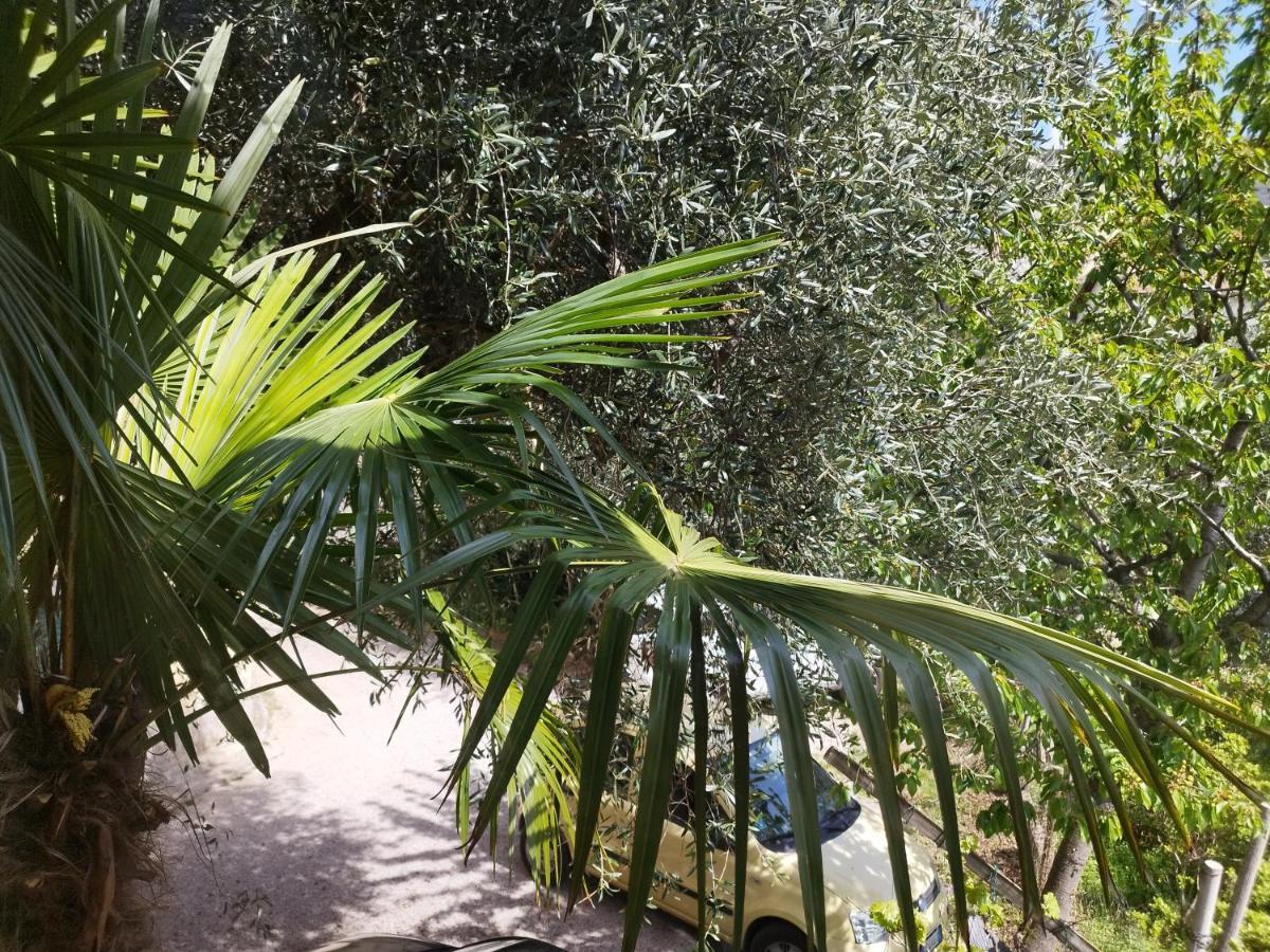 Appartement Casa Di Nin à Torbole Sul Garda Extérieur photo